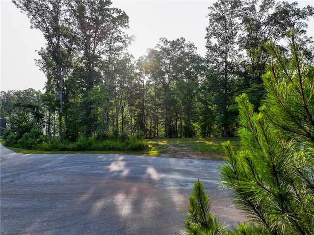 1114 Little River Dr, Seneca, SC 29672 - photo 4