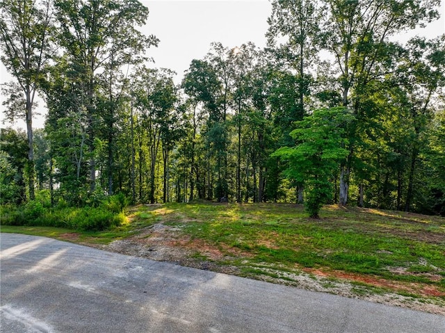 1114 Little River Dr, Seneca, SC 29672 - photo 5