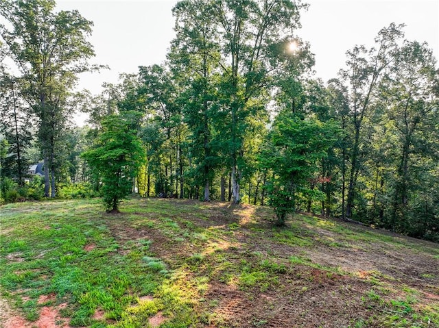 1114 Little River Dr, Seneca, SC 29672 - photo 6