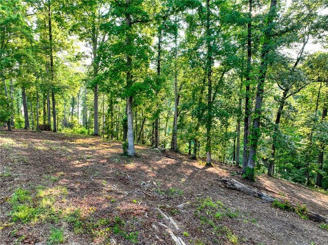 1114 Little River Dr, Seneca, SC 29672 - photo 7
