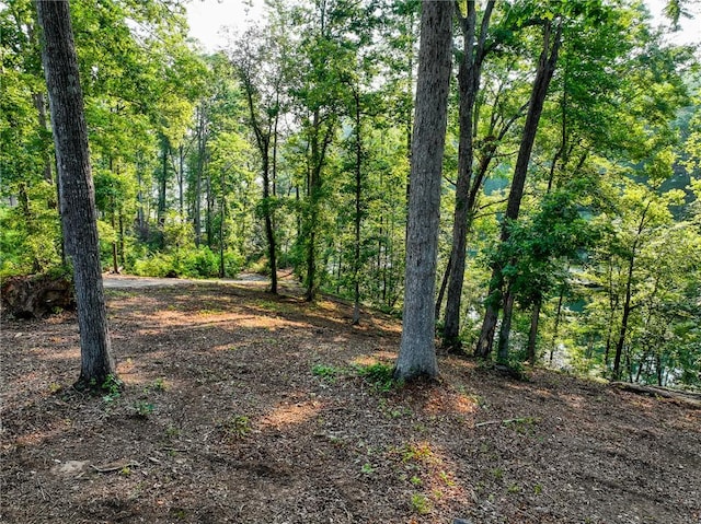1114 Little River Dr, Seneca, SC 29672 - photo 8