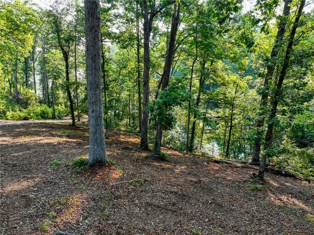 1114 Little River Dr, Seneca, SC 29672 - photo 9