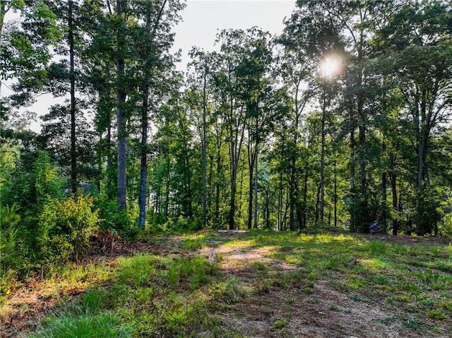 1114 Little River Dr, Seneca, SC 29672 - photo 10