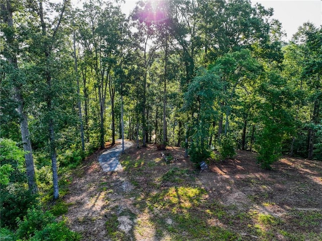 1114 Little River Dr, Seneca, SC 29672 - photo 11