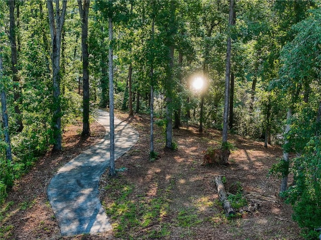 1114 Little River Dr, Seneca, SC 29672 - photo 12