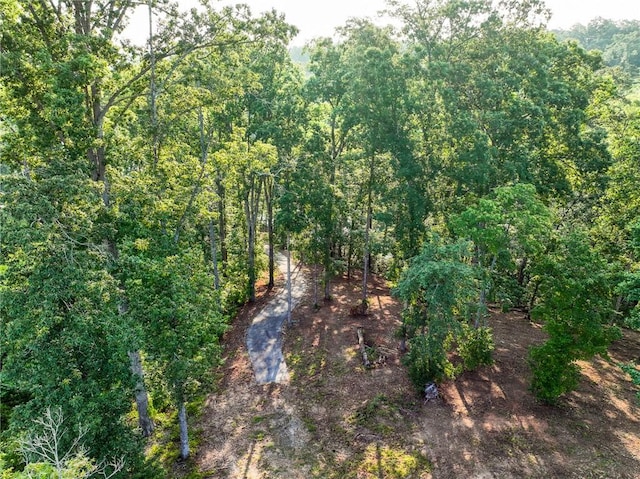 1114 Little River Dr, Seneca, SC 29672 - photo 13