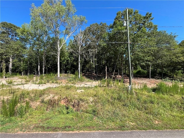 230 Old Knox Bridge Rd, Fair Play, SC 29643 - photo 2
