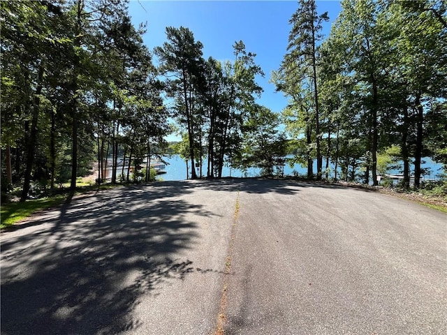 230 Old Knox Bridge Rd, Fair Play, SC 29643 - photo 4
