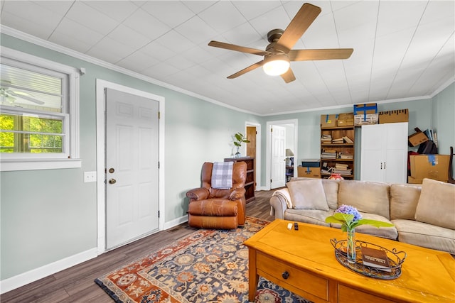 428 Doyle St, Westminster, SC 29693 - photo 33
