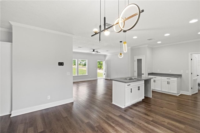 973 Pine Plain Rd, Gaston, SC 29053 - kitchen with ornamental molding, dark countertops, open floor plan, dark wood-style flooring, and recessed lighting