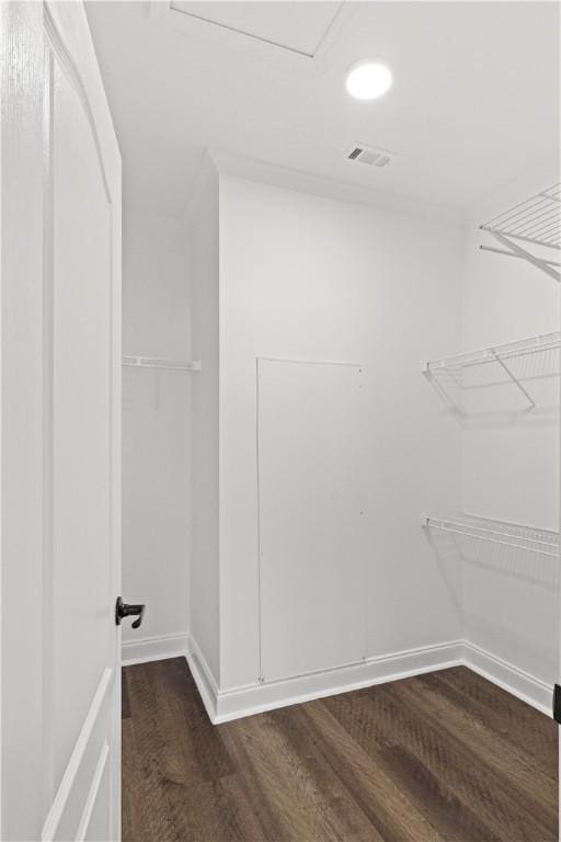 973 Pine Plain Rd, Gaston, SC 29053 - spacious closet with dark wood finished floors