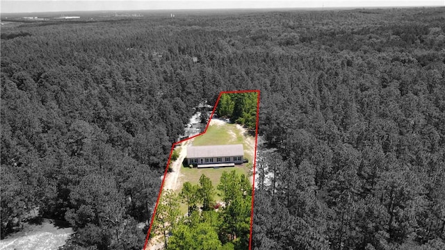 973 Pine Plain Rd, Gaston, SC 29053 - aerial view of property's location with a forest and property boundaries highlighted