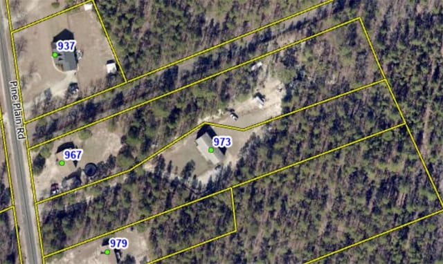 973 Pine Plain Rd, Gaston, SC 29053 - map of property location