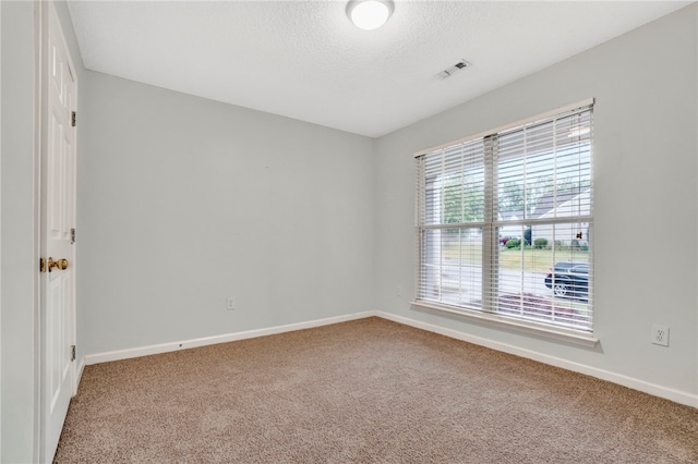 300 Turnbridge Trl, Simpsonville, SC 29680 - photo 19