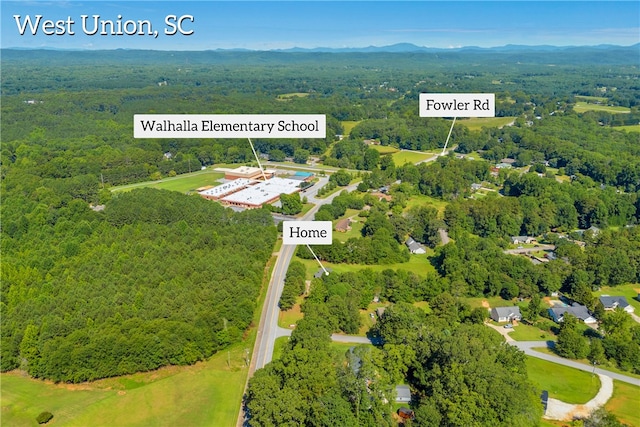 517 Fowler Rd, West Union, SC 29696 - photo 44