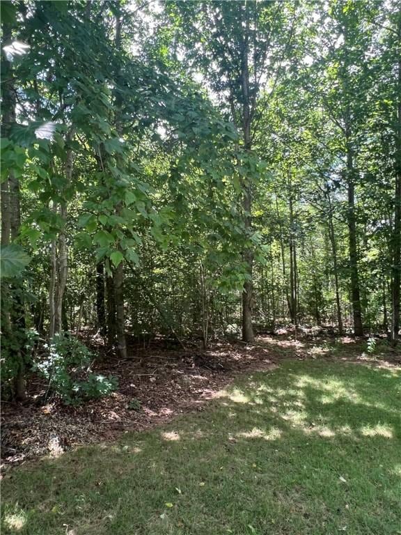 12 Summer Walk Ct, Seneca, SC 29678 - photo 4