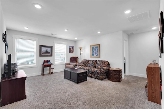 218 Walking Stick Way, Pelzer, SC 29669 - photo 20
