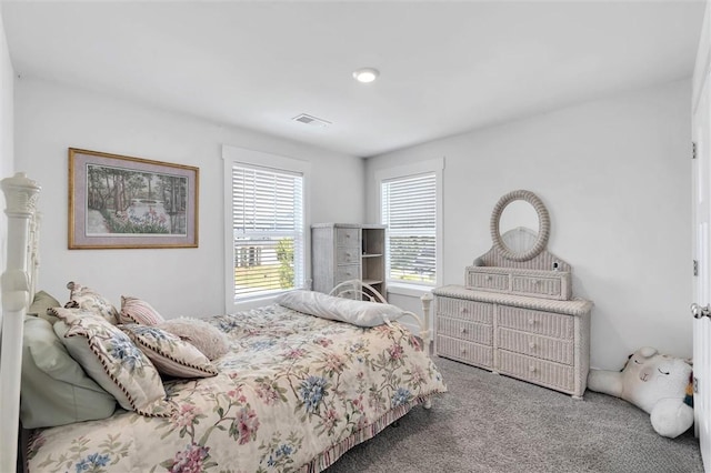 218 Walking Stick Way, Pelzer, SC 29669 - photo 26