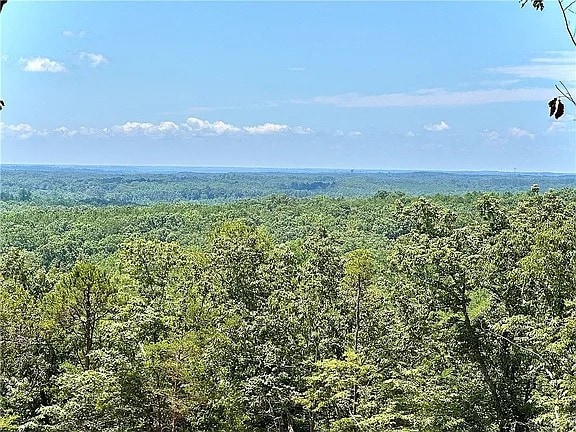 102 Long View Ct, Pickens, SC 29671 - photo 3