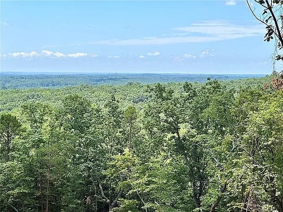 102 Long View Ct, Pickens, SC 29671 - photo 6