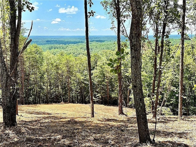 102 Long View Ct, Pickens, SC 29671 - photo 11