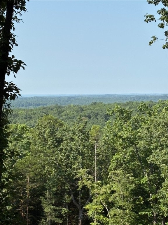 102 Long View Ct, Pickens, SC 29671 - photo 14