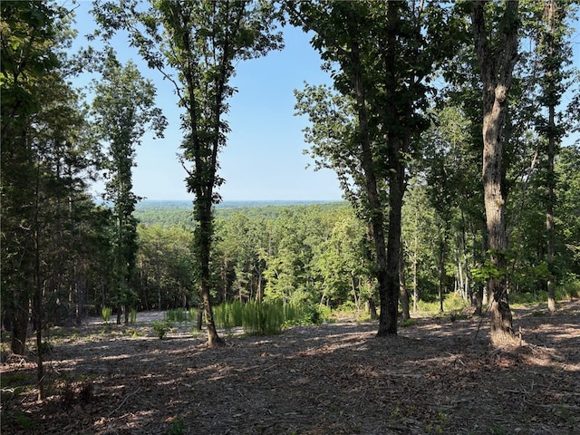 102 Long View Ct, Pickens, SC 29671 - photo 15