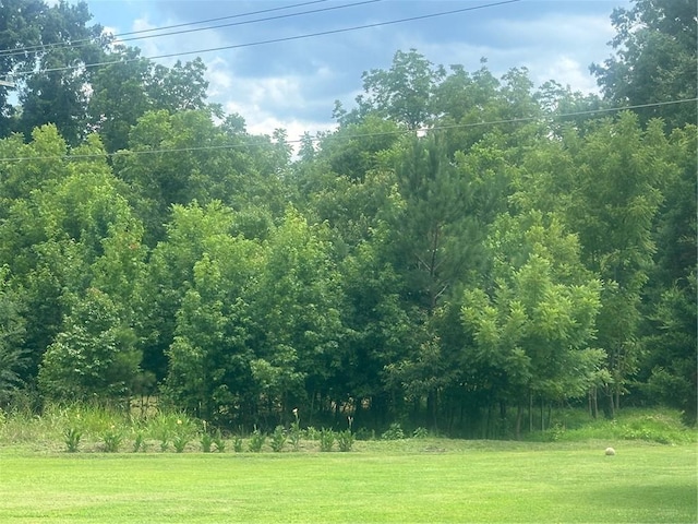00 E Madison St, York, SC 29745 - photo 1