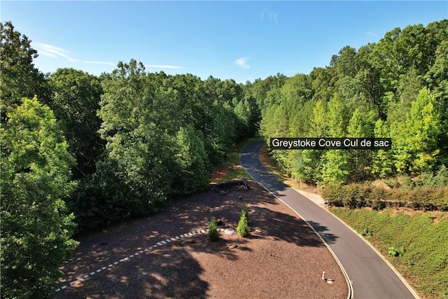 509 Greystoke Cv Unit 19L, Seneca, SC 29678 - photo 4