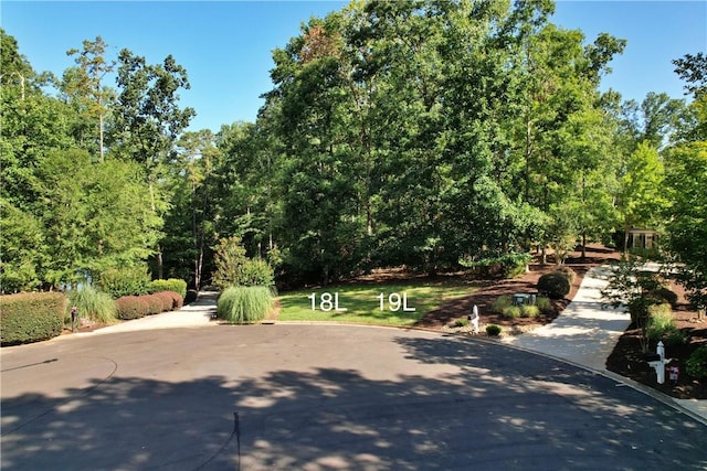 509 Greystoke Cv Unit 19L, Seneca, SC 29678 - photo 5