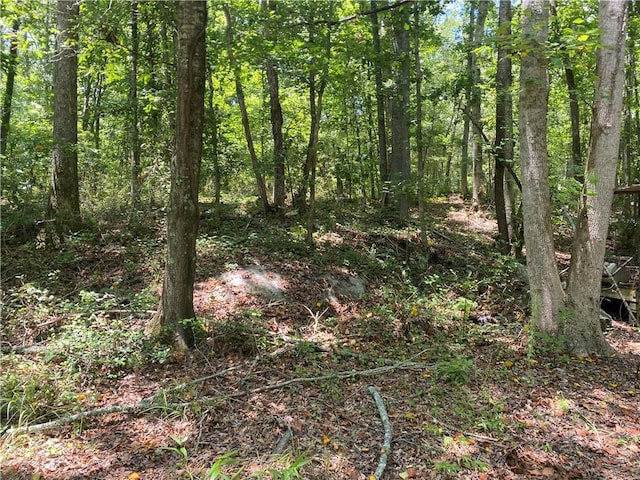 1622 Taylor Rd, Honea Path, SC 29654 - photo 6