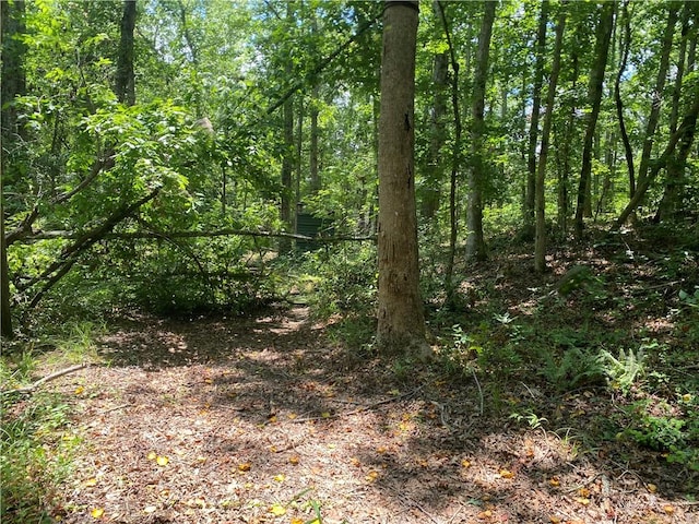 1622 Taylor Rd, Honea Path, SC 29654 - photo 7