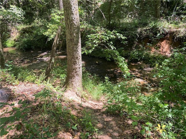 1622 Taylor Rd, Honea Path, SC 29654 - photo 9