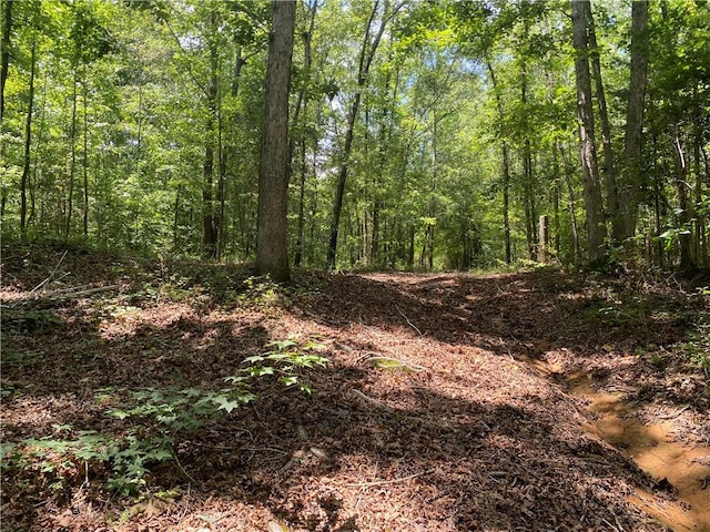 1622 Taylor Rd, Honea Path, SC 29654 - photo 12