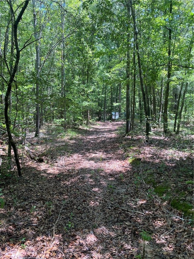 1622 Taylor Rd, Honea Path, SC 29654 - photo 14