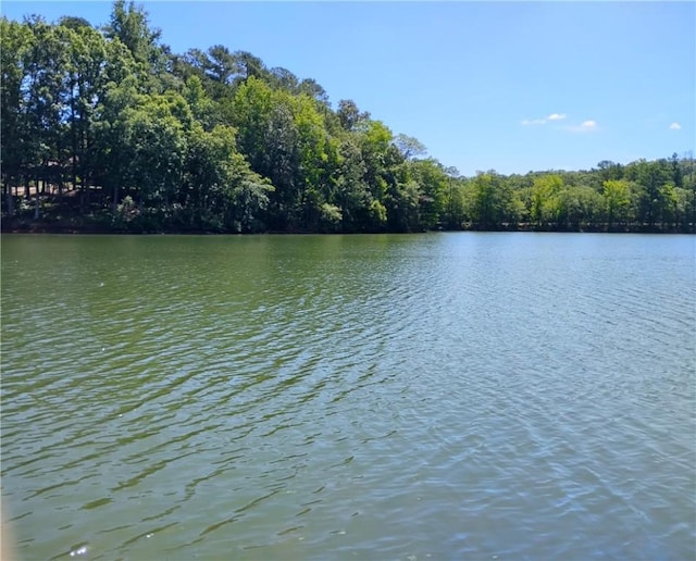 33063308 Centerville Rd, Anderson, SC 29625 - photo 25