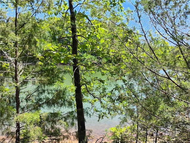 33063308 Centerville Rd, Anderson, SC 29625 - photo 28