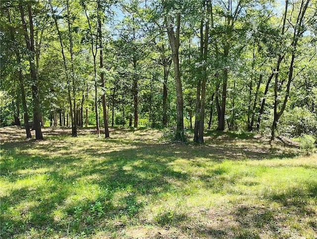 33063308 Centerville Rd, Anderson, SC 29625 - photo 33