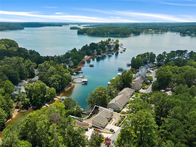 205 S Reach Ln, Salem, SC 29676 - photo 47