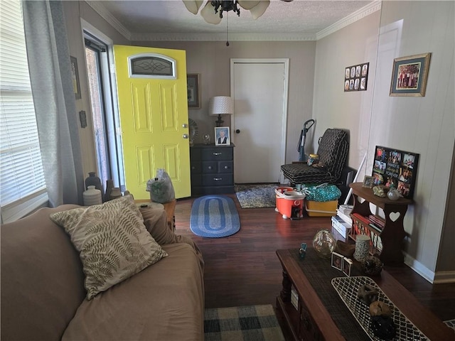 8 Lee St, Liberty, SC 29657 - photo 2