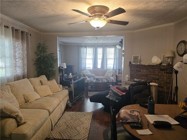8 Lee St, Liberty, SC 29657 - photo 3