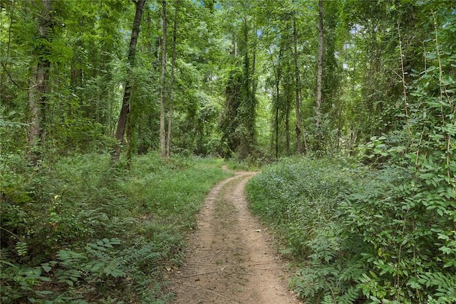 00 N Perkins Creek Rd, Seneca, SC 29678 - photo 5