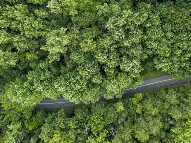 00 N Perkins Creek Rd, Seneca, SC 29678 - photo 12