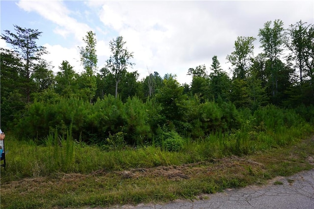 00 Crowe Creek Rd, Six Mile, SC 29682 - photo 2
