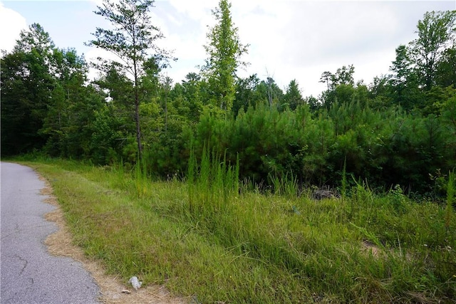 00 Crowe Creek Rd, Six Mile, SC 29682 - photo 3