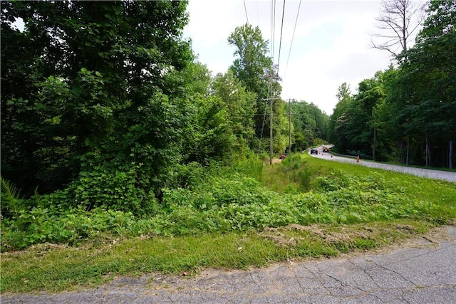 00 Crowe Creek Rd, Six Mile, SC 29682 - photo 5