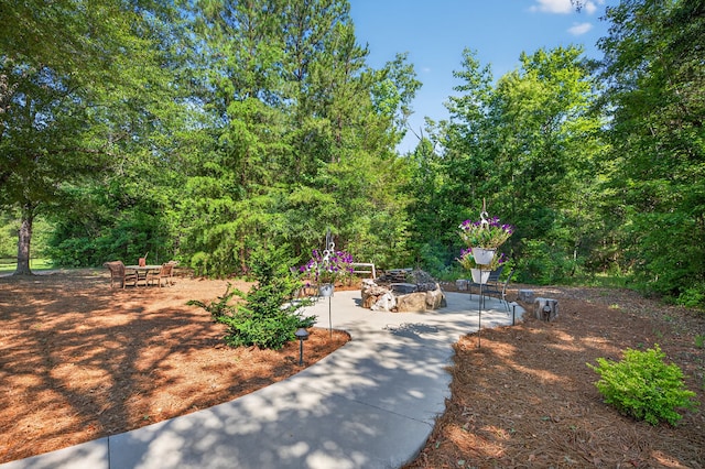 299 Scott Ln, Pelzer, SC 29669 - photo 24