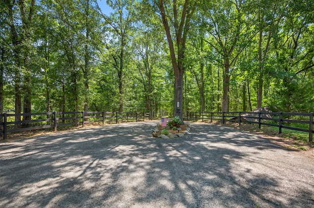 299 Scott Ln, Pelzer, SC 29669 - photo 40