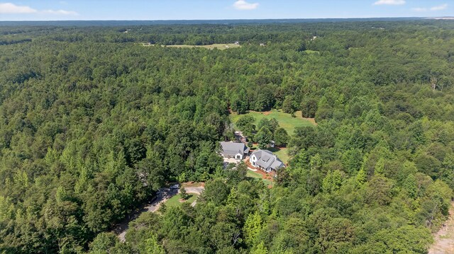 299 Scott Ln, Pelzer, SC 29669 - photo 42