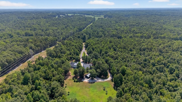 299 Scott Ln, Pelzer, SC 29669 - photo 44